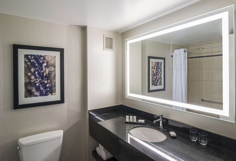 مجموعه ویستا شهر, Embassy Suites By Hilton Chicago Downtown Magnificent Mile