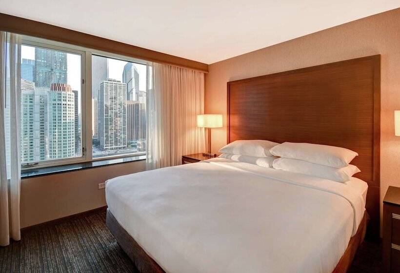 جناح مطل على المدينة, Embassy Suites By Hilton Chicago Downtown Magnificent Mile