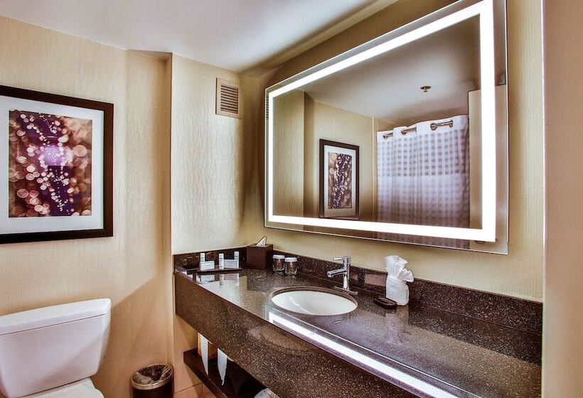 جناح مطل على المدينة, Embassy Suites By Hilton Chicago Downtown Magnificent Mile