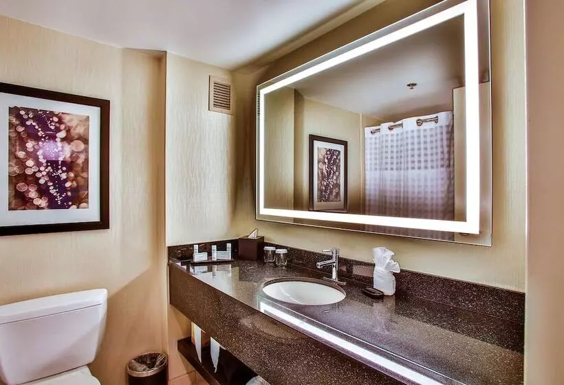 Sviitti Kaupungin Näkemystä, Embassy Suites By Hilton Chicago Downtown Magnificent Mile