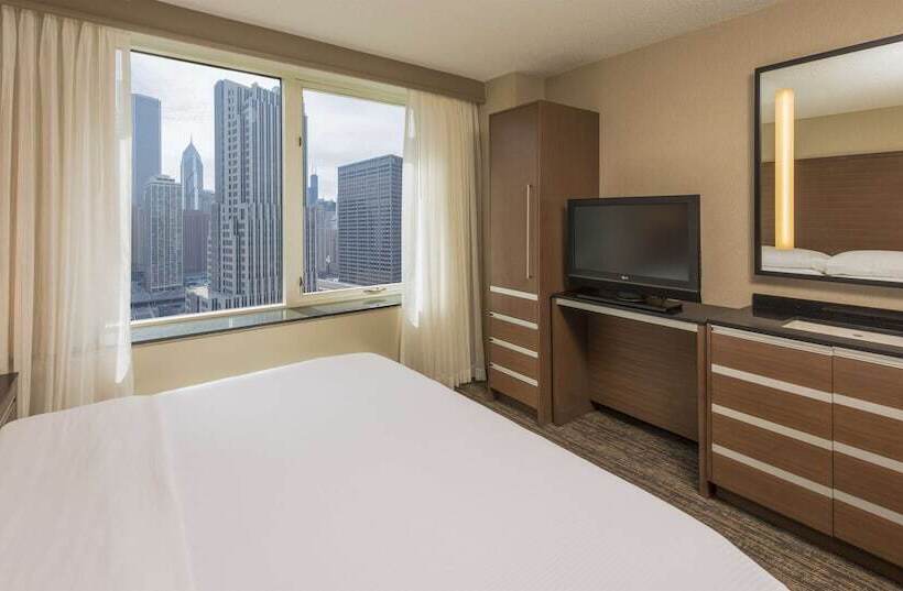 جناح مطل على المدينة, Embassy Suites By Hilton Chicago Downtown Magnificent Mile