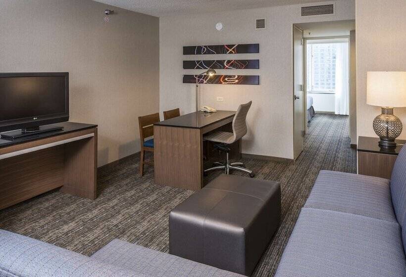 مجموعه ویستا شهر, Embassy Suites By Hilton Chicago Downtown Magnificent Mile