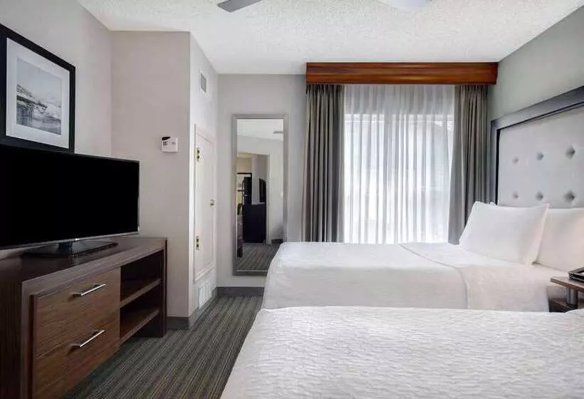 Premium-sviitti, Embassy Suites By Hilton Chicago Downtown Magnificent Mile