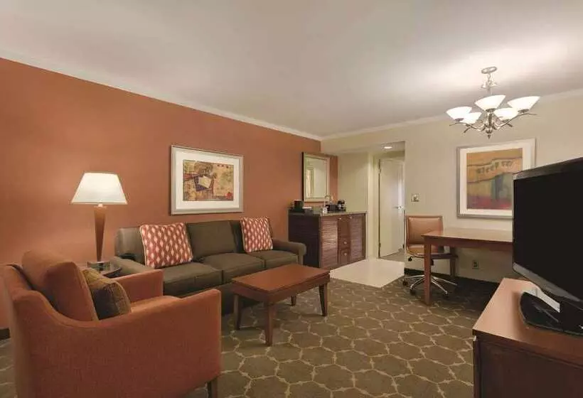 Premium-sviitti, Embassy Suites By Hilton Chicago Downtown Magnificent Mile