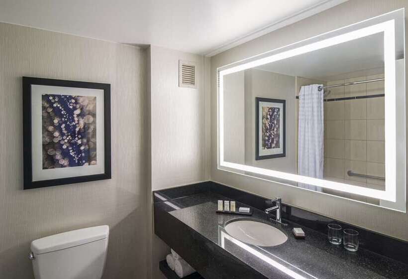 جناح, Embassy Suites By Hilton Chicago Downtown Magnificent Mile