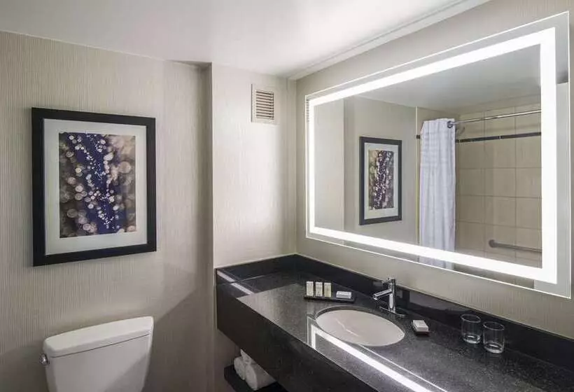 Sviitti, Embassy Suites By Hilton Chicago Downtown Magnificent Mile