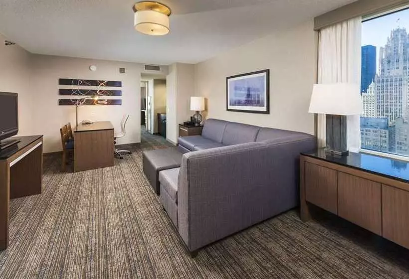 Sviitti King-vuode, Embassy Suites By Hilton Chicago Downtown Magnificent Mile