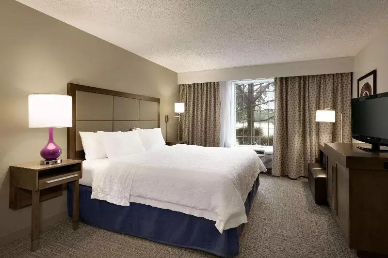 キングサイズベッドのスイートルーム, Hampton Inn & Suites Hershey