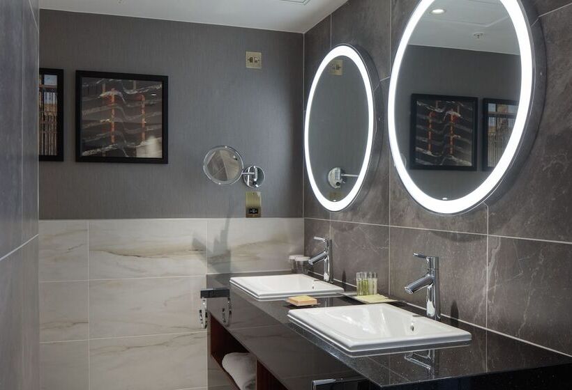 جناح إدارى, Hilton Belfast