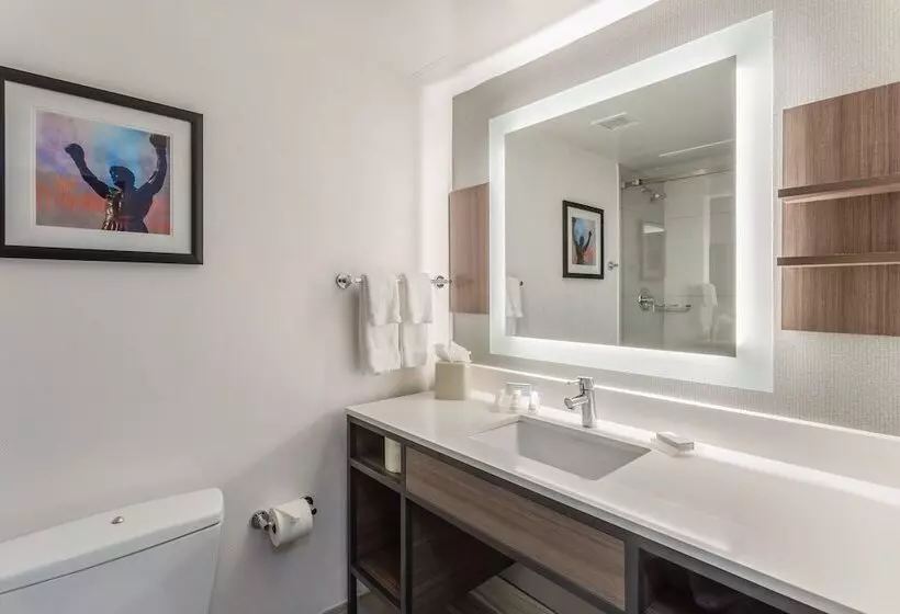 سوییت جونیور, Hilton Garden Inn Philadelphia Center City