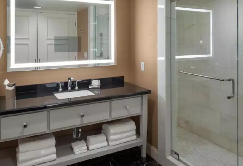 Deluxe Room Adapted for people with reduced mobility