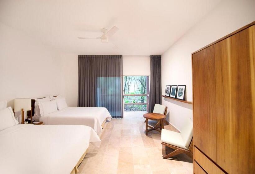 اتاق استاندارد, The Explorean Cozumel - All Inclusive