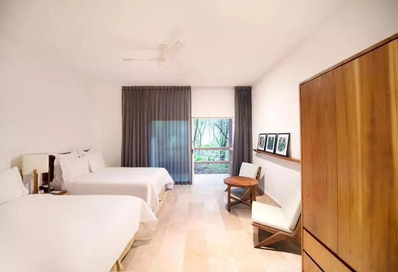 اتاق استاندارد, The Explorean Cozumel - All Inclusive