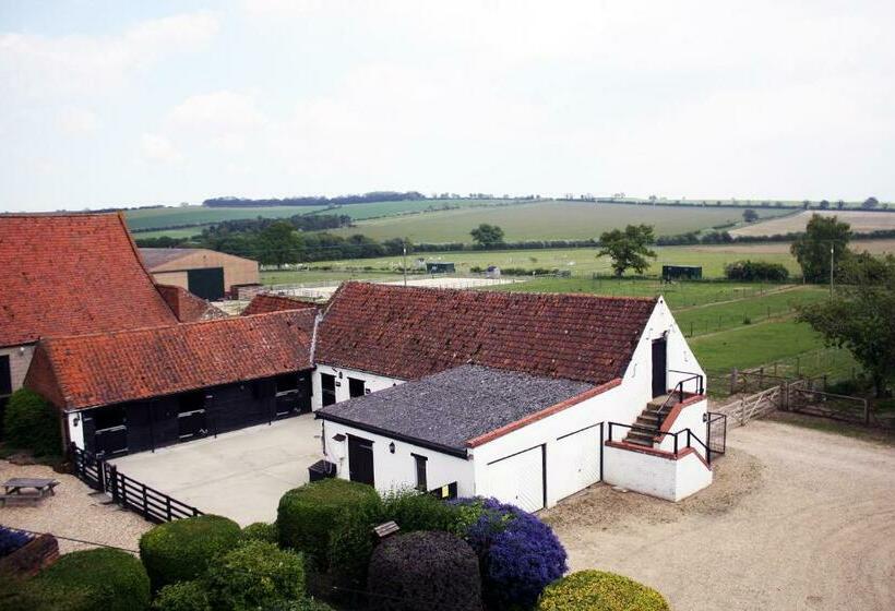 豪华房间, Willow Tree Farm