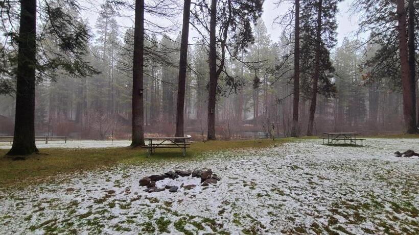 بنجلو قياسى, Cold Springs Resort