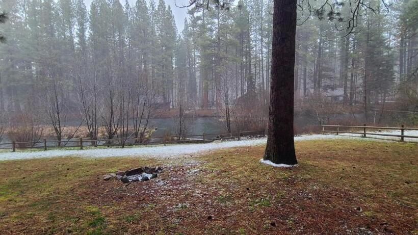 بنجلو قياسى, Cold Springs Resort