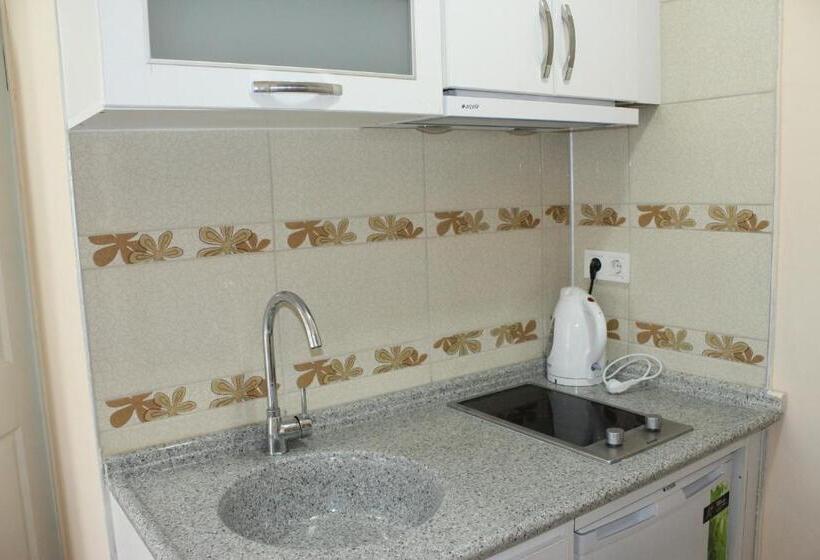 غرفة قياسية لذوى الاحتياجات الخاصة, Ede Apart Otel