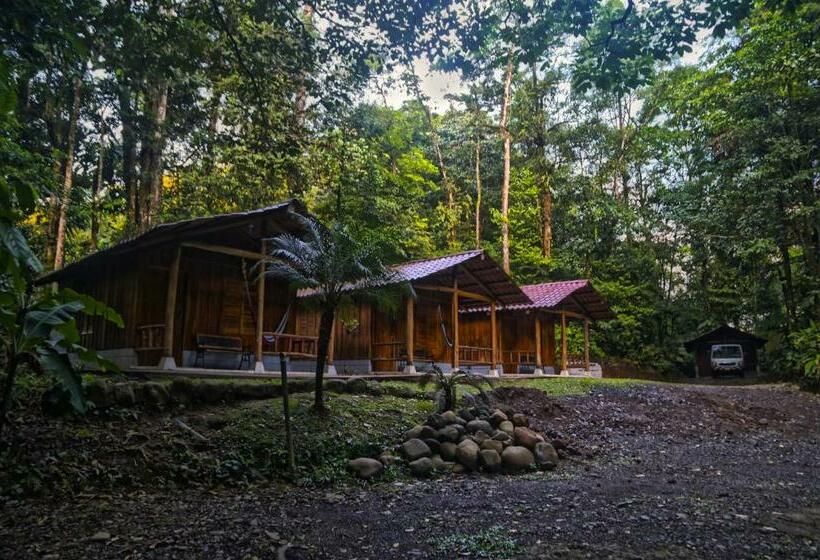 Дом 1 Спальня, Recreo Verde Hot Springs & Spa