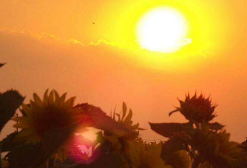 标准房带园景, Il Frattiero B&b