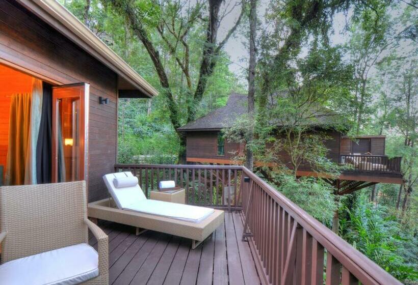 1间卧室的房子, The Tamara Coorg