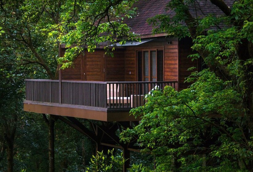 1间卧室的房子, The Tamara Coorg