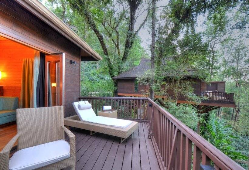 1间卧室的房子, The Tamara Coorg