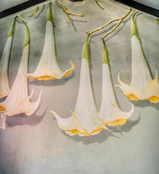 디럭스 룸, Bate Papo House Cafe Boutique