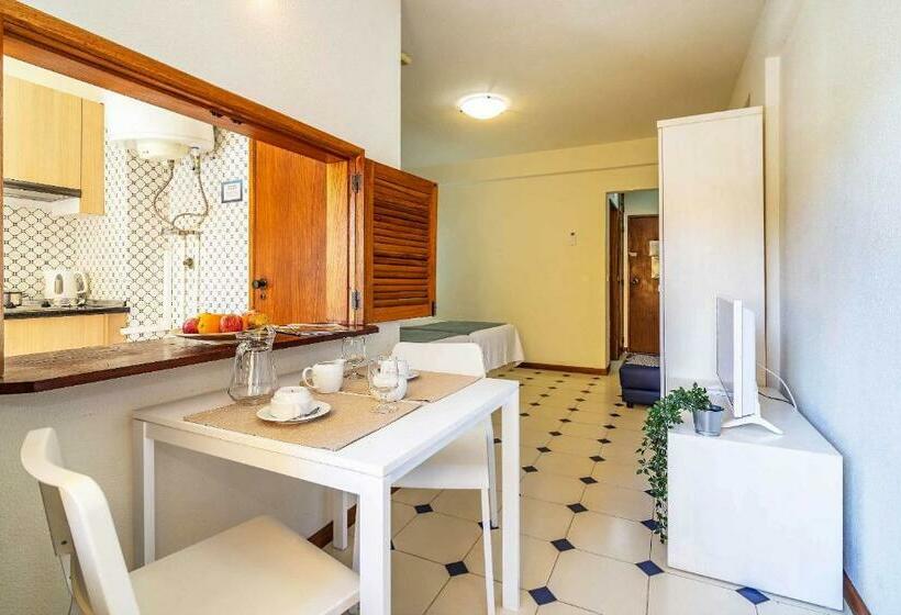 스탠다드 스튜디오, Rio By Garvetur