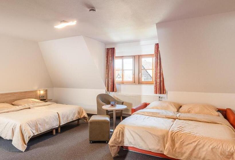 غرفة قياسية رباعية, Altes Brauhaus Garni