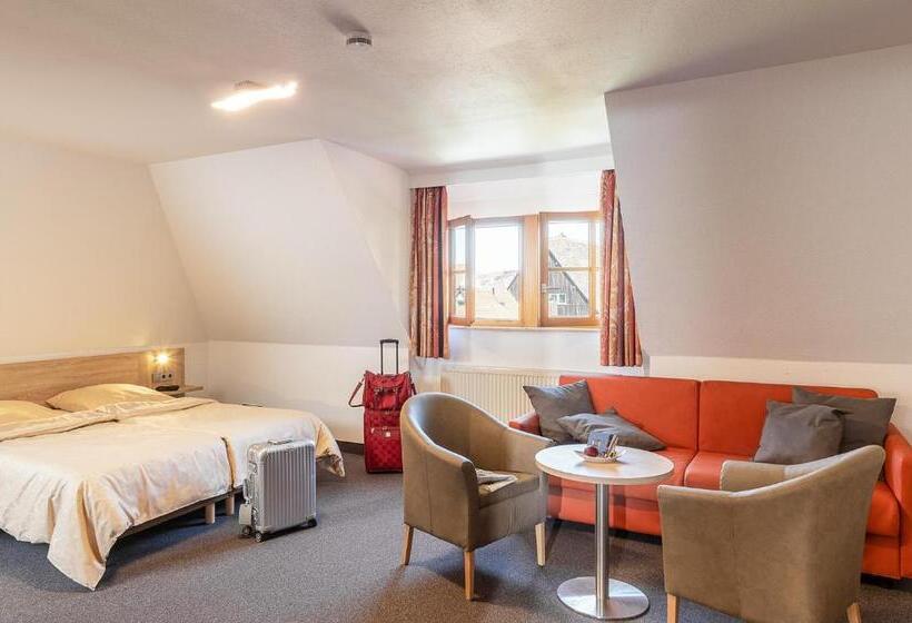 غرفة سوبيريور, Altes Brauhaus Garni