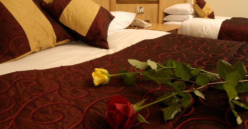 标准三人间, Bush