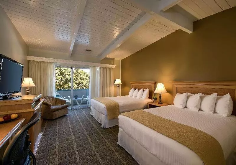 Quarto standard, Daedalus