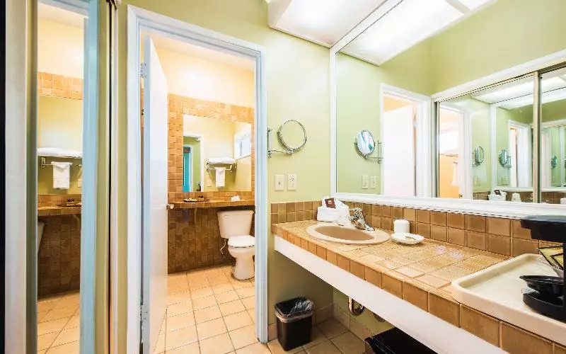Quarto standard, Daedalus