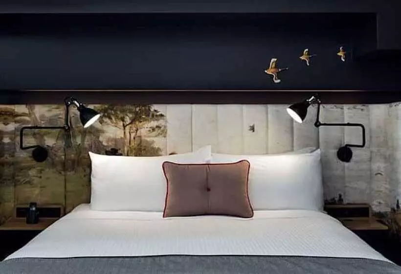 اتاق لوکس, Ovolo Woolloomooloo