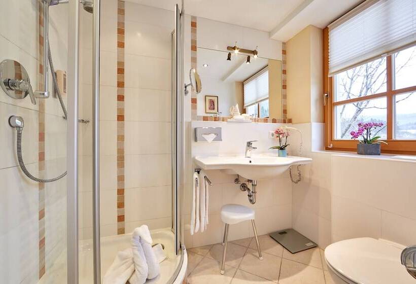Номер Стандарт, Romantik Alpenhotel Waxenstein