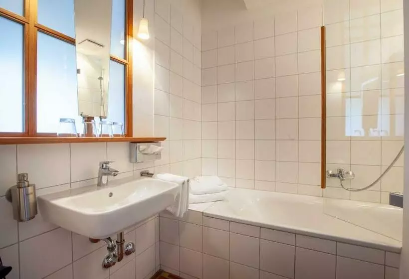 اتاق لوکس, Bio Hotel Alter Wirt