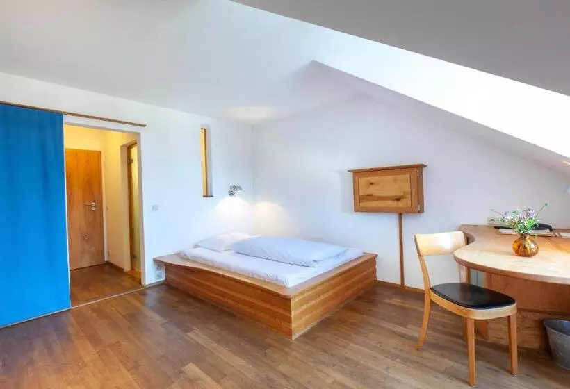 اتاق استاندارد یک نفره, Bio Hotel Alter Wirt