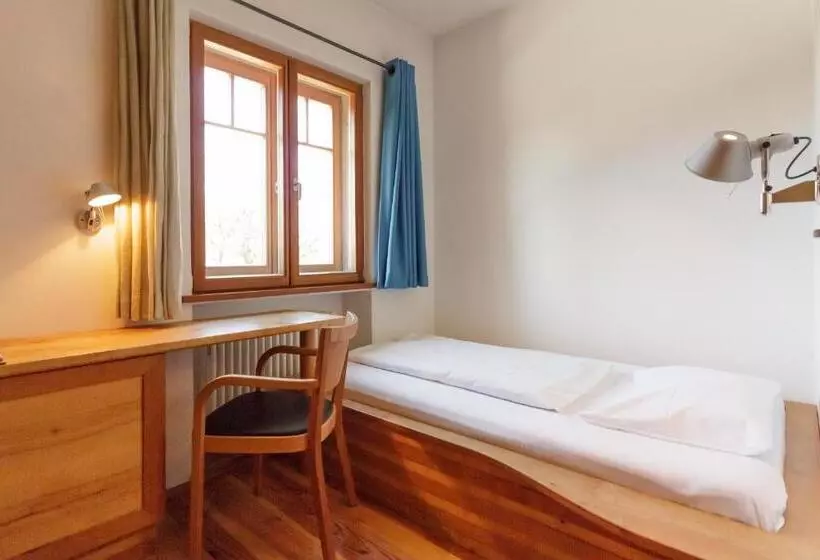 اتاق اکونومی یک تخته, Bio Hotel Alter Wirt