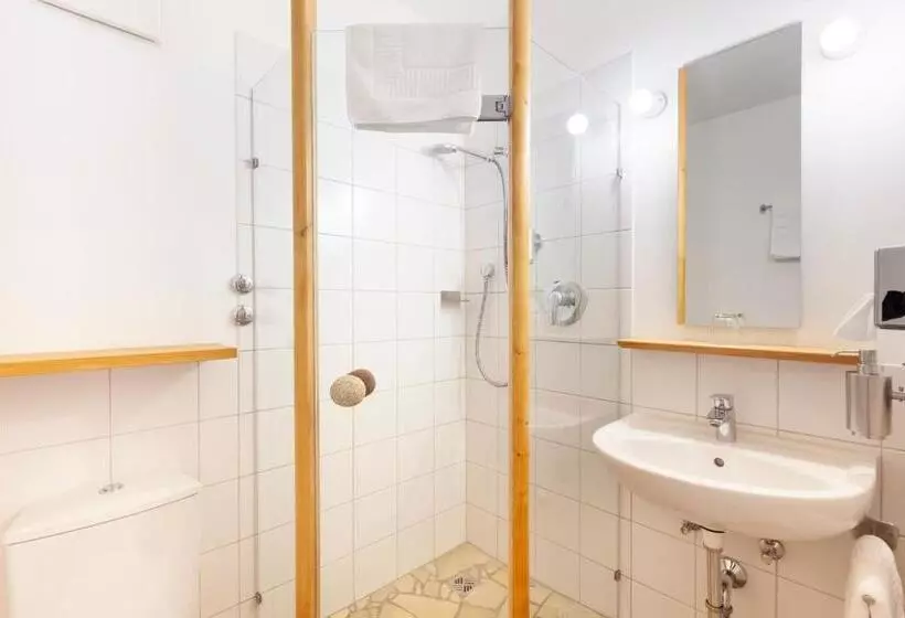 اتاق اکونومی یک تخته, Bio Hotel Alter Wirt