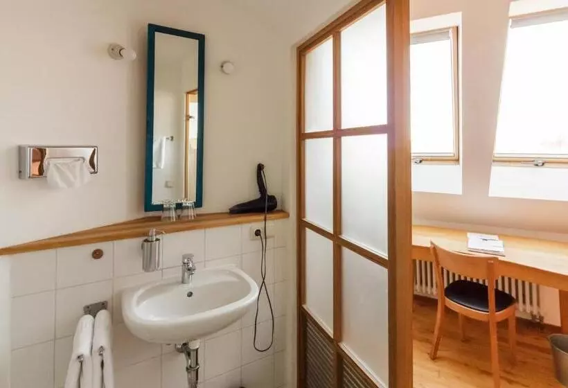 اتاق اکونومی, Bio Hotel Alter Wirt