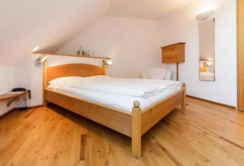 اتاق اکونومی, Bio Hotel Alter Wirt