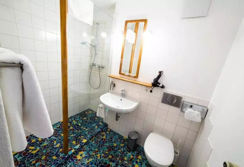 اتاق استاندارد با چشم‌انداز, Bio Hotel Alter Wirt