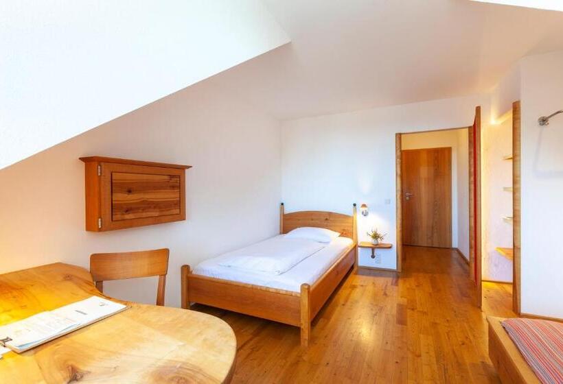 Номер Стандарт Индивидуальный, Bio Hotel Alter Wirt