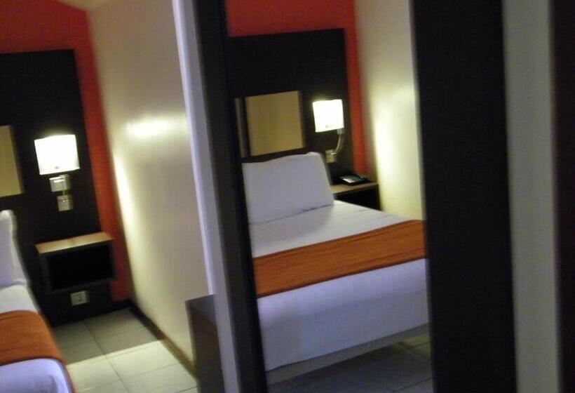 اتاق کلاسیک یک تخته, Central Hotel Cayenne