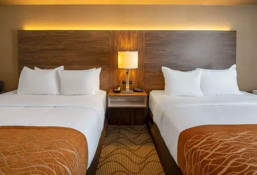 اتاق استاندارد با 2 تخت دوبل, Comfort Inn Lakeshore
