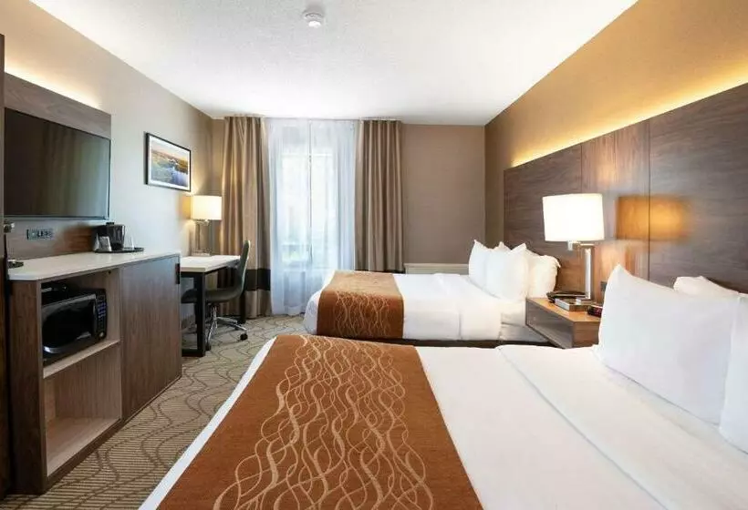 اتاق استاندارد با 2 تخت دوبل, Comfort Inn Lakeshore