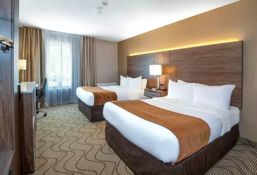 اتاق استاندارد با 2 تخت دوبل, Comfort Inn Lakeshore