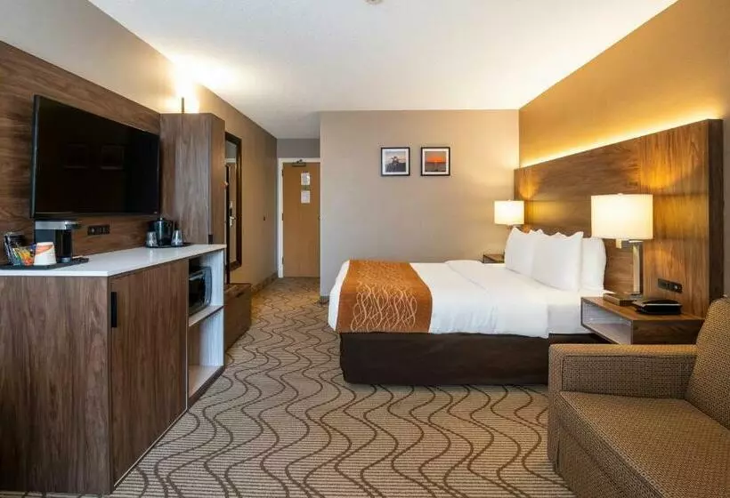 اتاق استاندارد در طبقه همکف, Comfort Inn Lakeshore