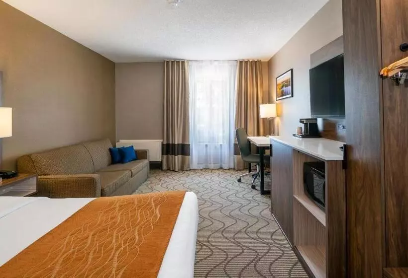 اتاق استاندارد در طبقه همکف, Comfort Inn Lakeshore