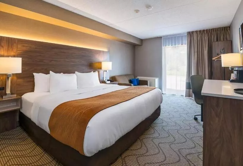 اتاق استاندارد در طبقه همکف, Comfort Inn Lakeshore